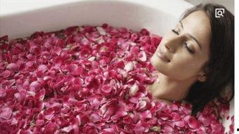 欧美人犬交视频,揭秘人犬情感交融瞬间