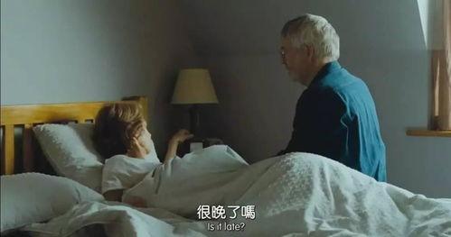 欧美电影夫妻打架视频