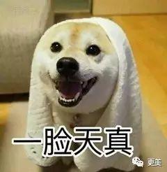 欧美爱情情侣吵架视频