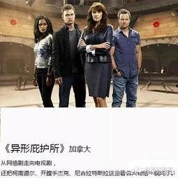 欧美少年对比视频,视觉对比揭示成长轨迹