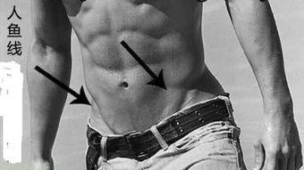 欧美腹肌男绘画视频,动感绘画视频带你领略肌肉之美