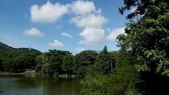 欧美风景小众明媚视频,探寻明媚时光的隐秘角落