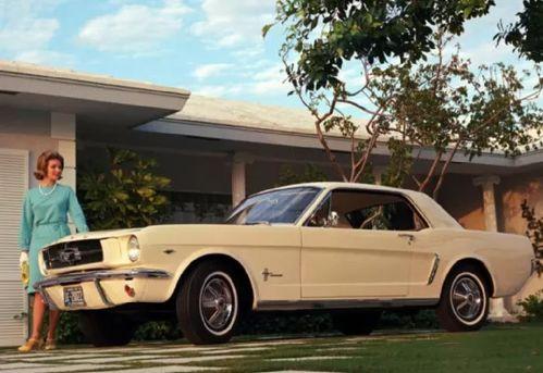 野马欧美剪辑片段视频,激情四溢的动感瞬间