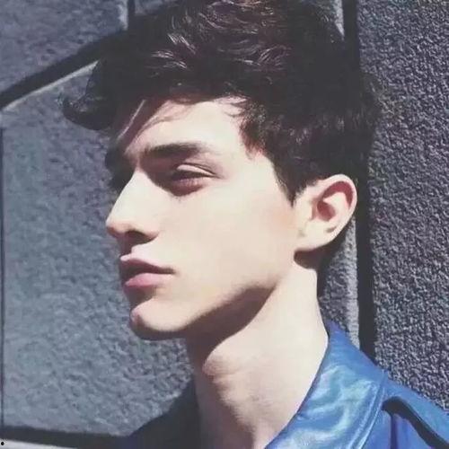 欧美痞帅男星合集视频,魅力四溢，型男典范