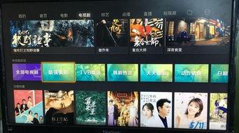 欧美视频 综合图区,视觉盛宴与多元文化的碰撞