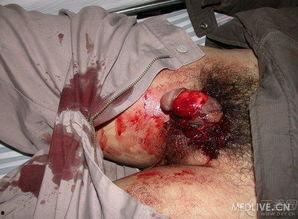 欧美去势环视频,时尚潮流与实用功能的完美结合