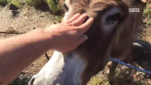 欧美去势环视频,时尚潮流与实用功能的完美结合