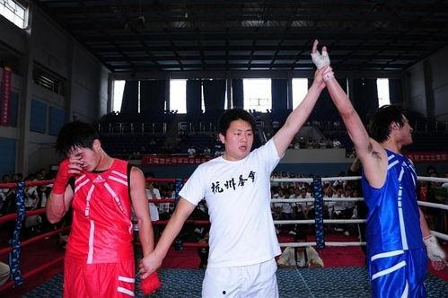 拳击欧美训练视频大全集,全方位提升拳击技能