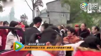 欧美新娘打架视频